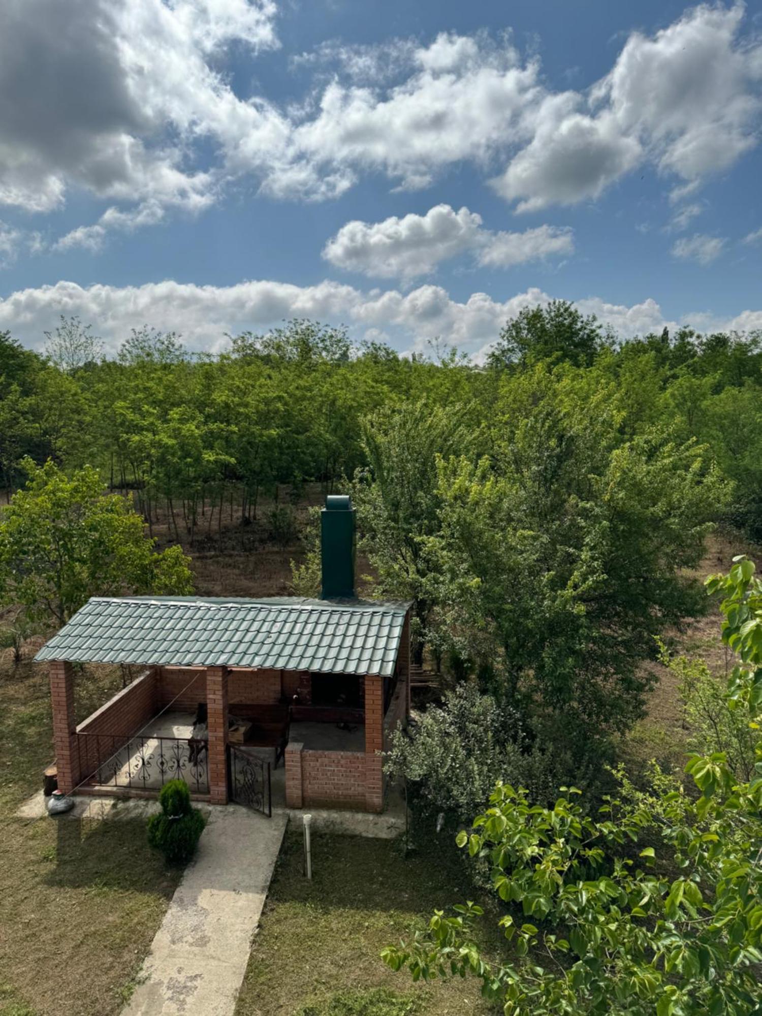 Guesthouse Saniko Martvili Exterior photo